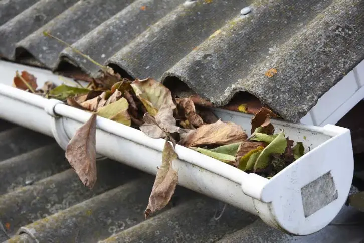 gutter-cleaning-img1 (1)